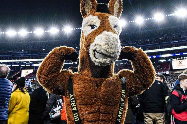 mil Army Navy game mascot mule 1200